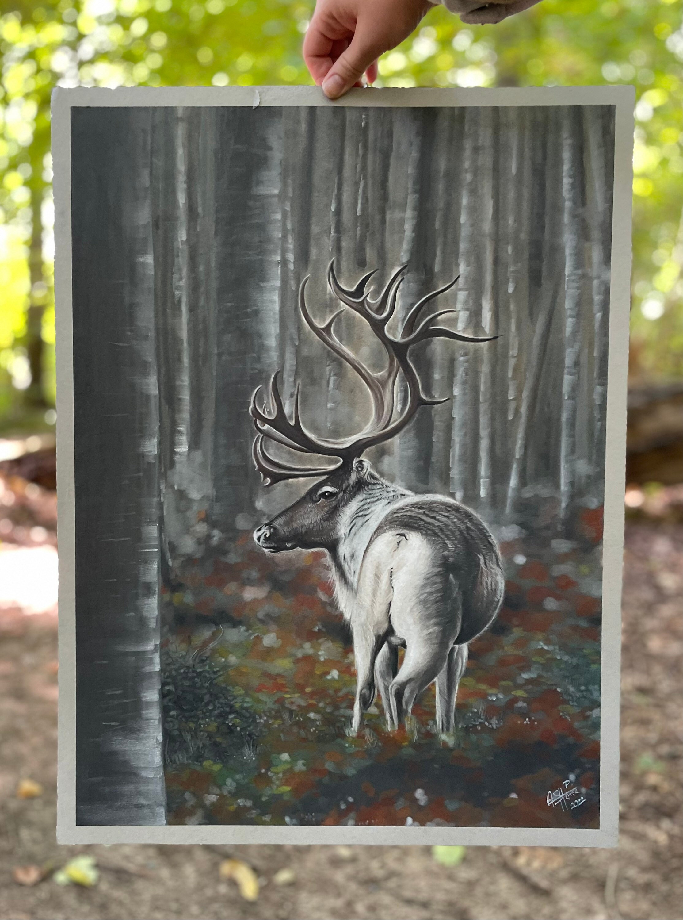 Stag Pastel Pencil Drawing Original Deer Color Pencil Art - Etsy