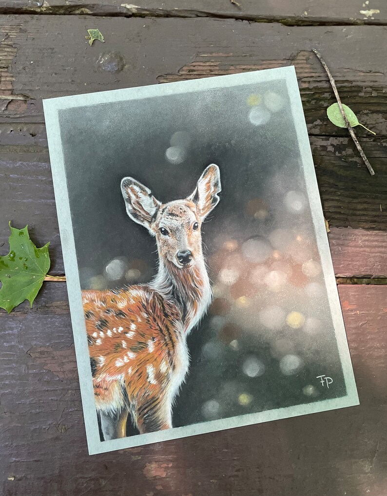 Fawn pastel pencil drawing | original | realistic wildlife | aesthetic | animal art | deer | autumn .br Fawn pastel pencil drawing | original | realistic wildlife | aesthetic | animal art | deer | autumn .br