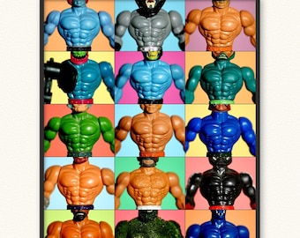 Masters of the Universe Mosaic • Giclée Art Print Toy Photography • He-Men He-Man