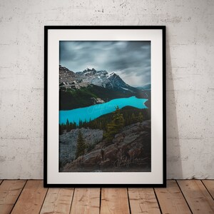 Peyto Lake, Banff - Alberta, Canada