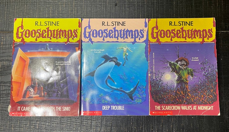 GooseBumps / R.L. Stine / Vintage Horror / Mystery Books / 1990s image 6