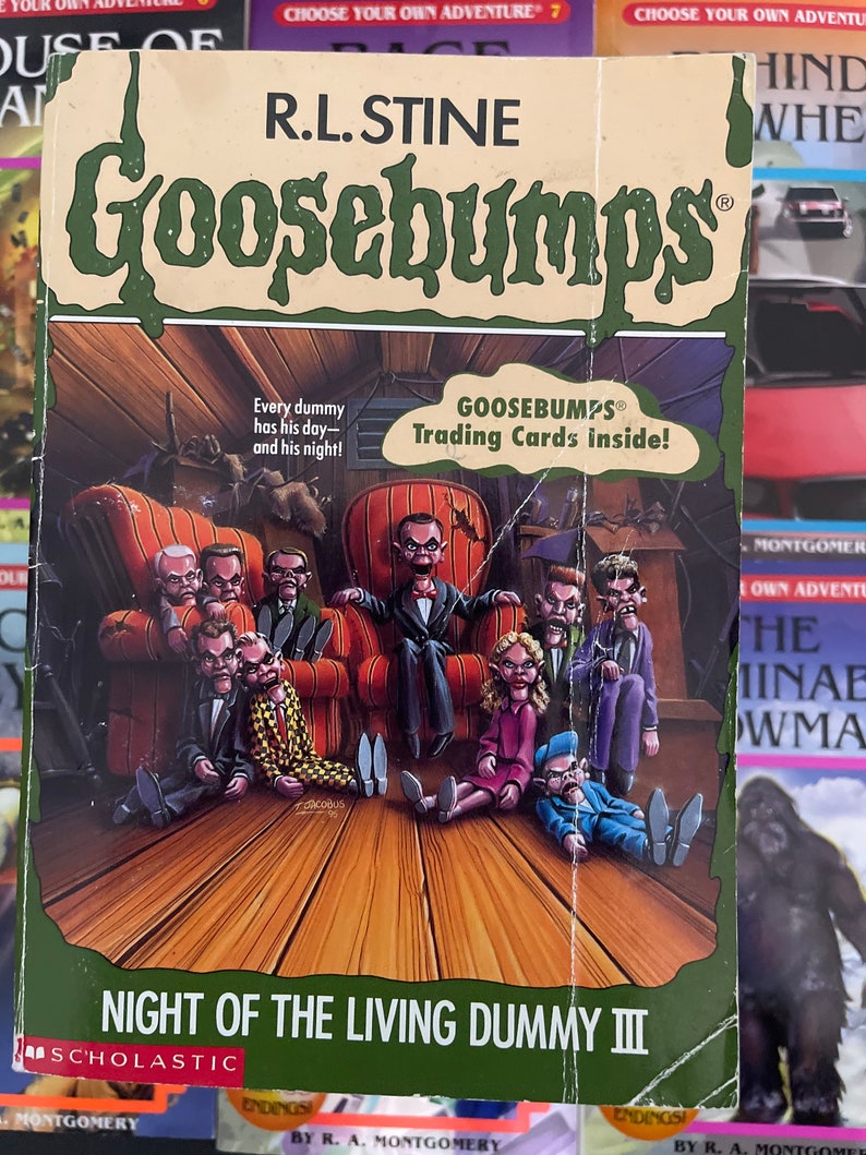 GooseBumps / R.L. Stine / Vintage Horror / Mystery Books / 1990s image 3