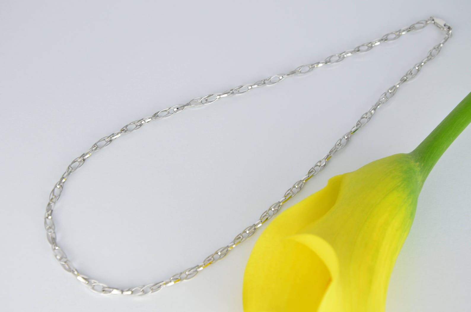 14k Gold Mother Necklace, White Gold Oval Necklace, Shiny Solid Gold Necklace, Gold Necklace for