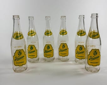 Vintage Vernors Ginger Ale 6 Pack Carrier w/ 4 Embossed Glass Soda Bottles