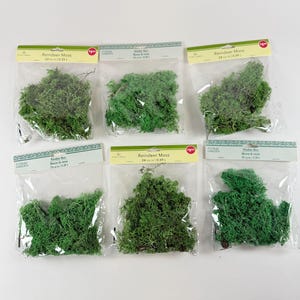 Peut inclure: Six sachets en plastique transparent contenant de la mousse de renne verte, chacun étiqueté Floral Garden Reindeer Moss 24 cu in | 0.39 L. La mousse présente un aspect texturé et ramifié, avec des nuances de vert variées selon les paquets.