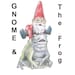 Gnome and The Frog