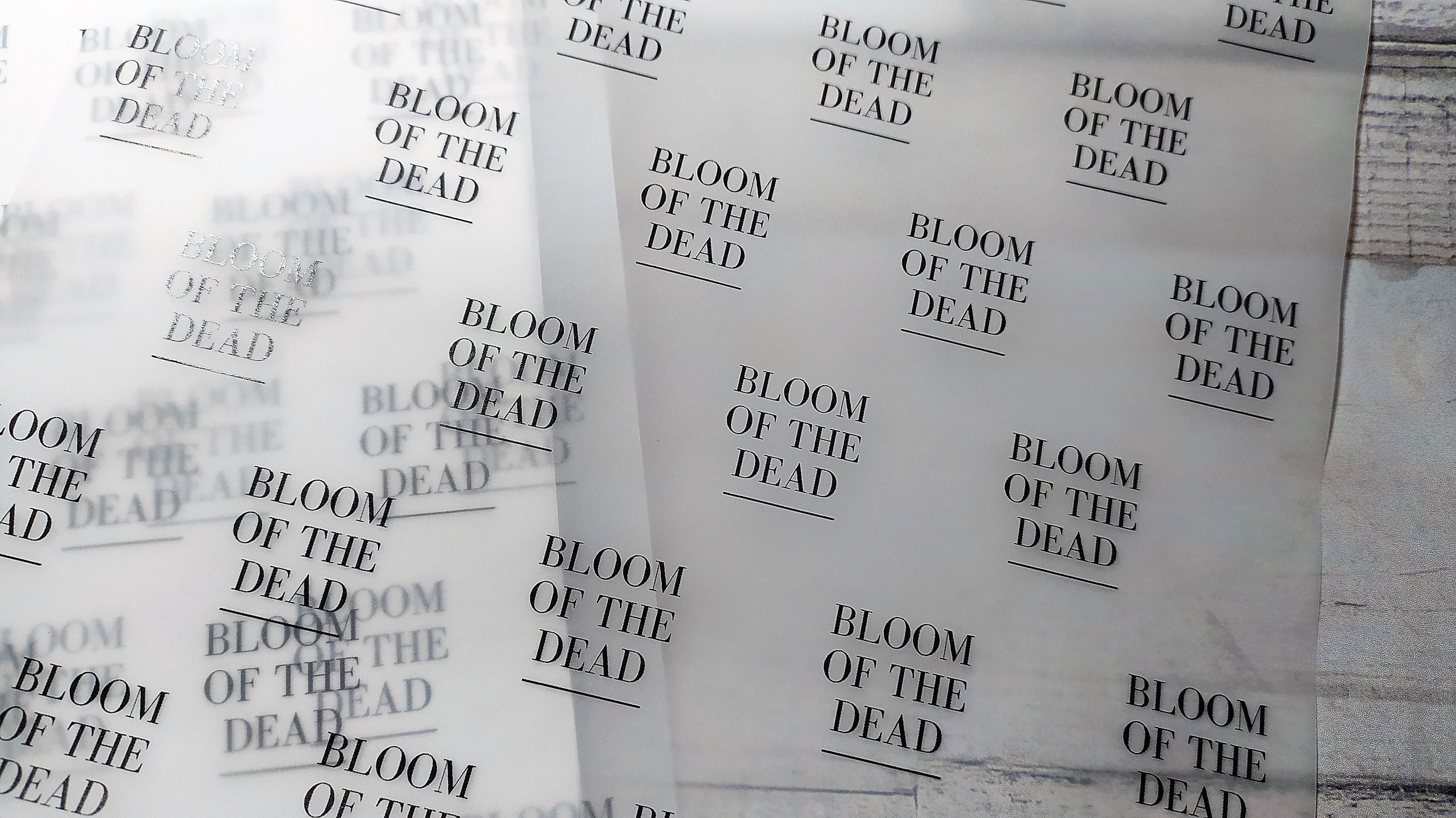 Vellum Paper Wrap A4 With Your Custom Design Recyclable Etsy UK