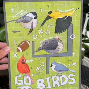 May include: A green and white illustrated card with a football theme featuring various birds. The card says "GO BIRDS" with the text "@PANTALOOP" at the bottom. The birds include a black-capped chickadee, an American goldfinch, a mourning dove, a northern cardinal, and a tufted titmouse.