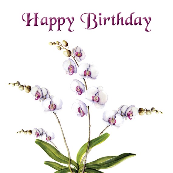 Carte De Voeux Joyeux Anniversaire Orchidee Blanche Et Etsy