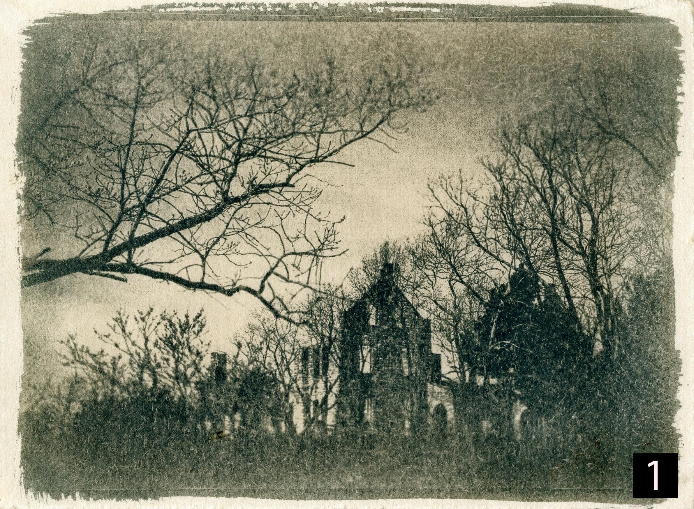 The Curse of Ha Ha Tonka III - Tea-Toned Cyanotype Prints