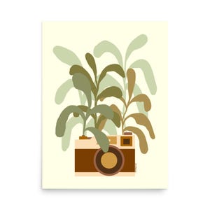 Naturfotografie SLR Poster
