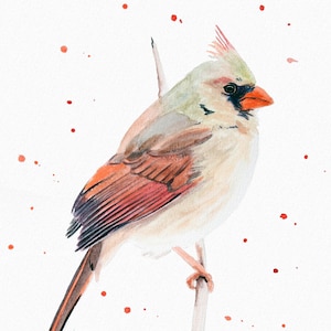 Cardinal Bird Watercolor Painting Female Bird Artwork Wood Frame