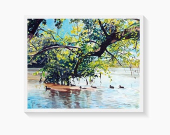 Potomac River Ducks Art Print, Landscape Watercolor Painting Northern Virginia, Great Falls VA, River Bend Park