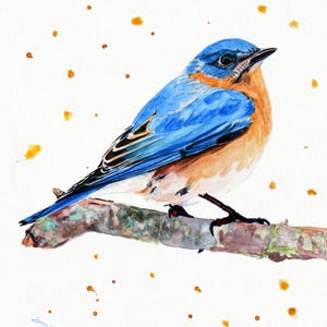 Bluebird Watercolor Painting Bird Art Print Wood Frame