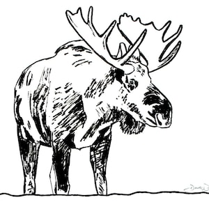 Moose Drawing Black Ink Art Print Wood Frame