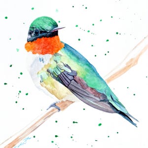 Ruby Throated Hummingbird Painting Watercolor Art Print Wood Frame Bird Artwork