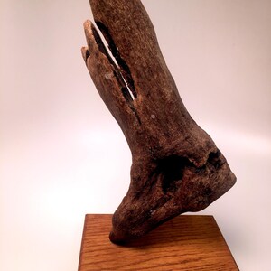 Natural Driftwood Sculpture
