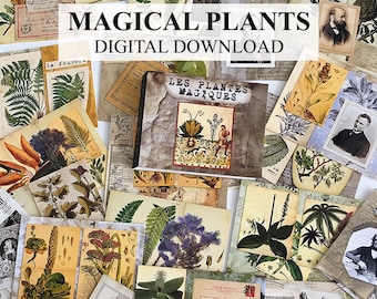 Dollhouse Miniature Prints Botanical Magical Plants DIGITAL DOWNLOAD Printable