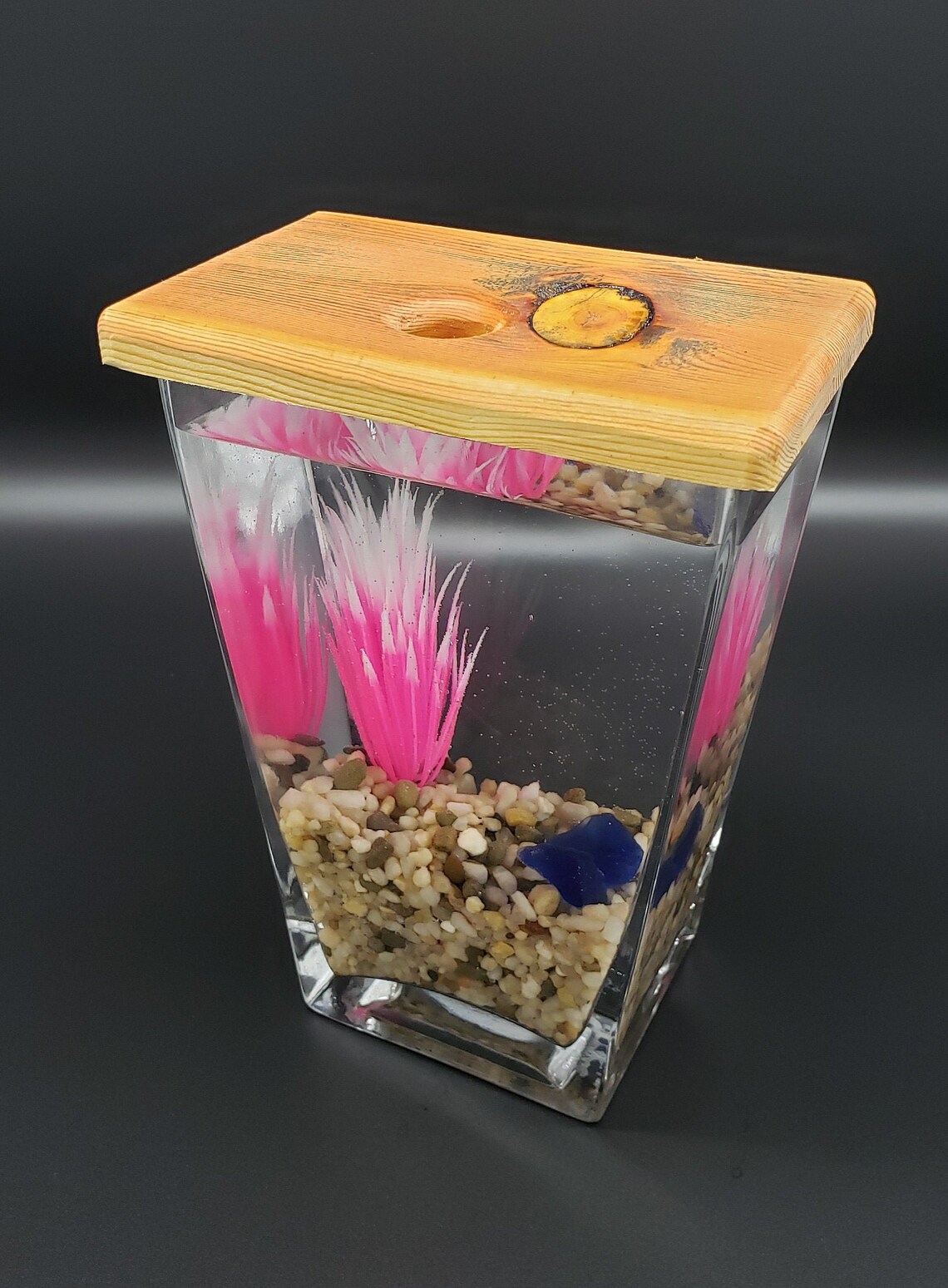 Vintage Vase Terarrium for Betta Fish Aquarium Fish Tank Etsy