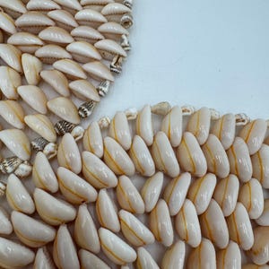 Seashell Trivet Cowrie Shell Trivet  Hot Pot, Hot Pad  Natural decor  Beach House Lake House Nautical Decor vintage plant trivet set of 2