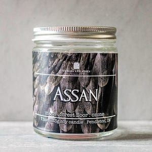 May include: A glass jar candle with a silver lid. The label features the word "ASSAN" in white, with "EMBERS AND ASHES COMPANY" above it. The label also includes "moss, forest floor, ozone" and "7.5oz 213g soy candle". The background is a gray, textured surface.