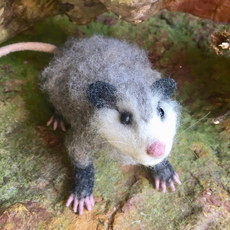 Cute Needle Felted Possum Realistic Animal. Etsy
