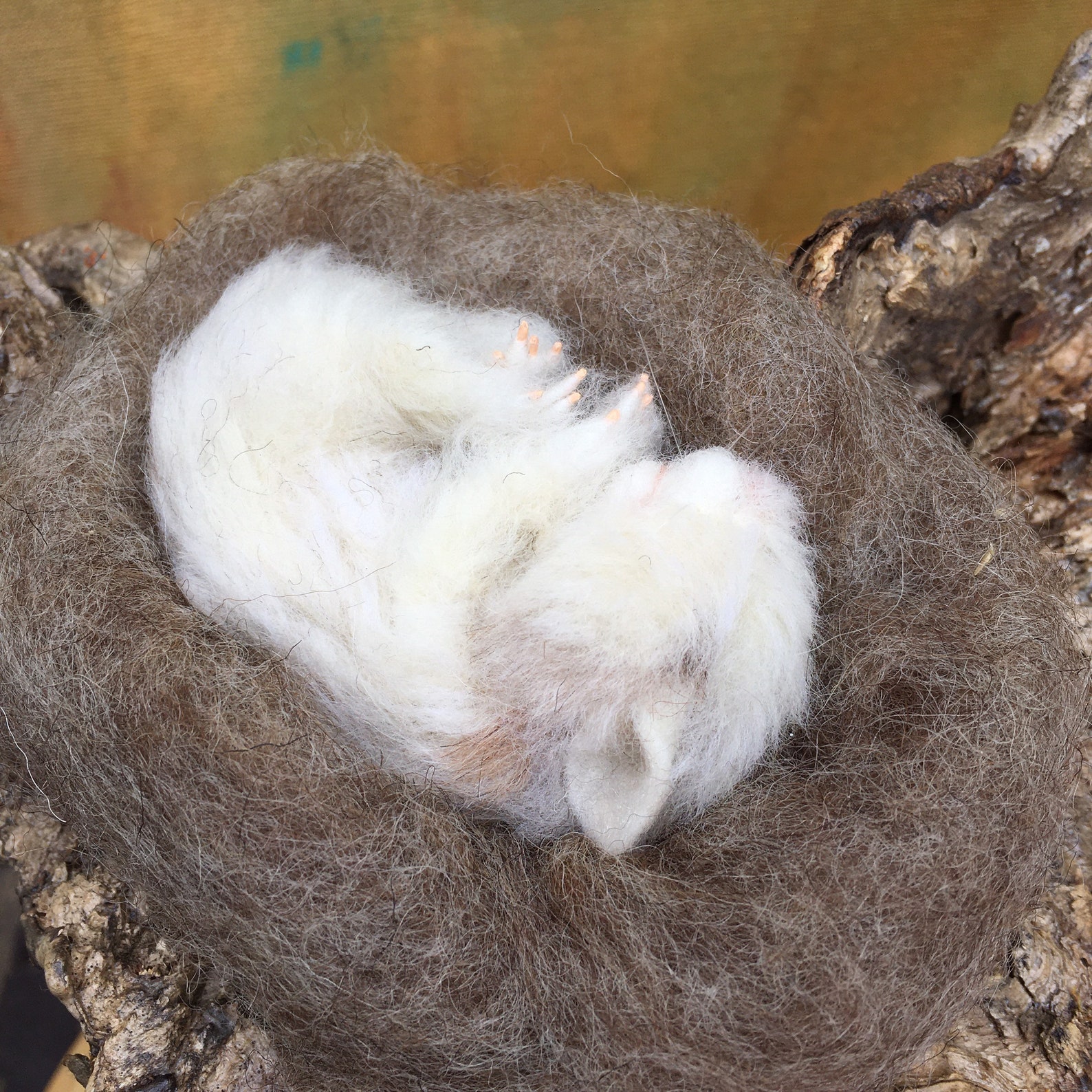 Sleeping hamster Faux taxidermy Custom hamster Hamster Etsy