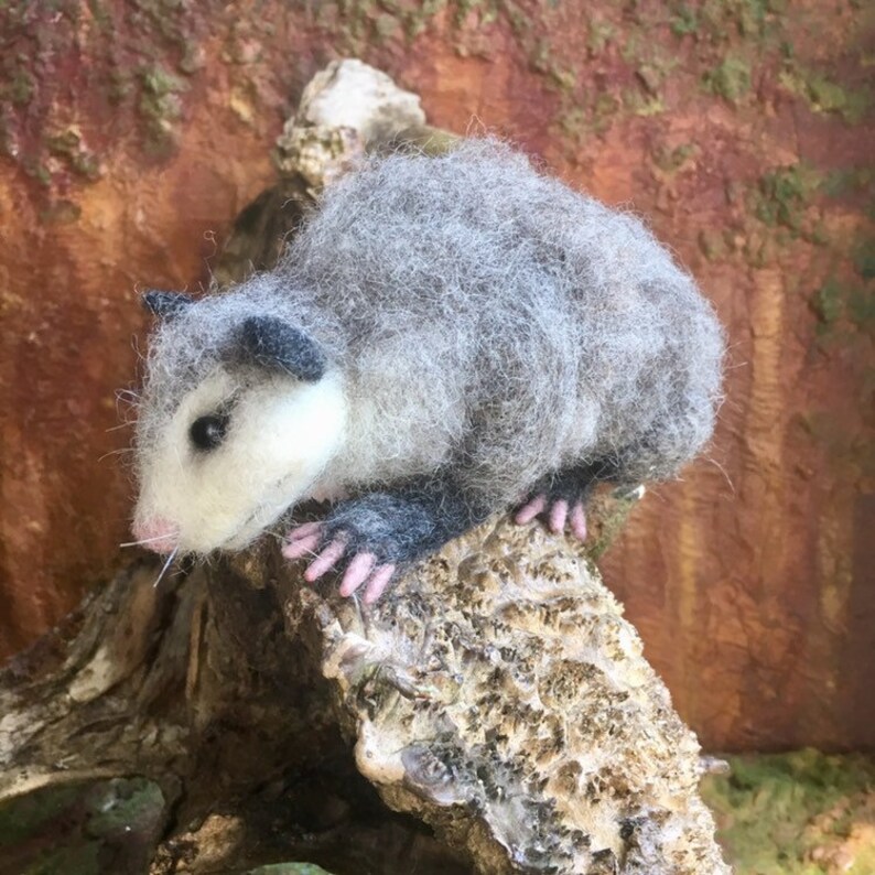 Cute Needle Felted Possum Realistic Animal. Etsy