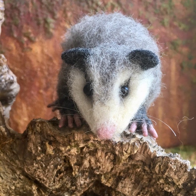 Cute Needle Felted Possum Realistic Animal. Etsy