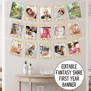 Fantasy Shire Baby Foto Banner, magischer Ring Personalisierte Dekoration, Elfen Geburtstagsparty, Cottage erstes Jahr Monat Zeichen, Download 3020