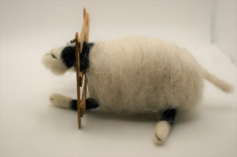 Silly Sheep with his Head Stuck!