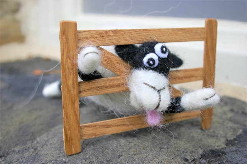 Silly Sheep with his Head Stuck!