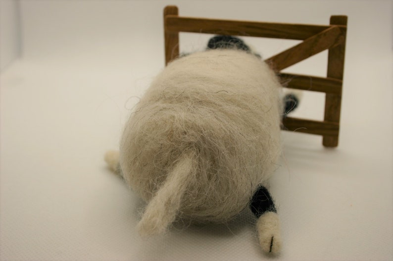 Silly Sheep with his Head Stuck!