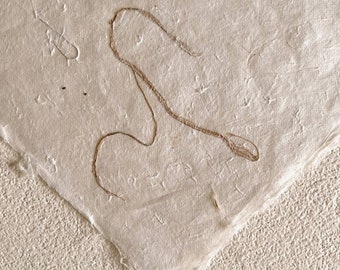 May include: A close-up of a piece of handmade paper with a brown, string-like design. The paper has a textured surface and a slightly rough edge.