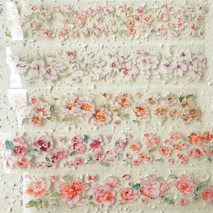 Baicangjia Studio Rihuanxia Pet Tape