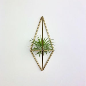 Mini Air Plant Holder Wall Sconce (without plant)