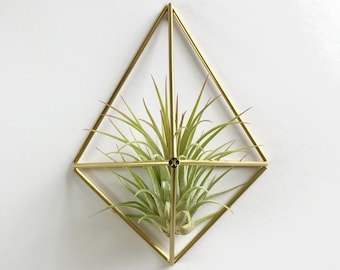 Small Air Plant Holder Wall Sconce (without plant)