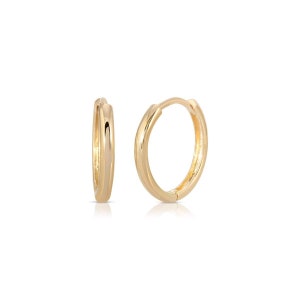 May include: A pair of gold hoop earrings. The hoops are small and have a smooth, polished finish.