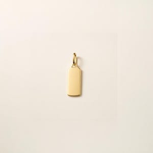 14k Gold Dog Tag Charm Pendant