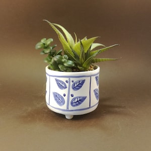 Può includere: Un vaso di ceramica bianca con motivi di foglie blu, con una pianta grassa verde.