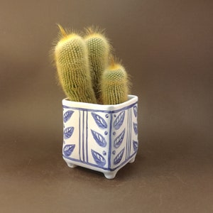 May include: A white ceramic planter with a blue and white leaf pattern, featuring three small cacti plants.