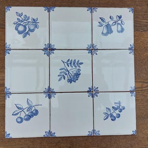 Puede incluir: Un conjunto de nueve azulejos de cerámica cuadrados dispuestos en una cuadrícula de tres por tres. Cada azulejo presenta un acabado blanco brillante con ilustraciones botánicas pintadas a mano en azul de varias frutas y bayas.