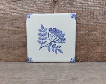 Hand-Painted Delft 12 Ceramic Tile Mix Fruit, Leaves, Insects, 4x4