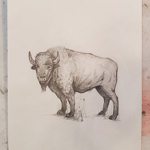 Disegno di bisonte su carta, un animale maestoso nel suo habitat naturale, disegno originale di bisonte, illustrazione rustica della fauna selvatica per il regalo di arredamento per la casa