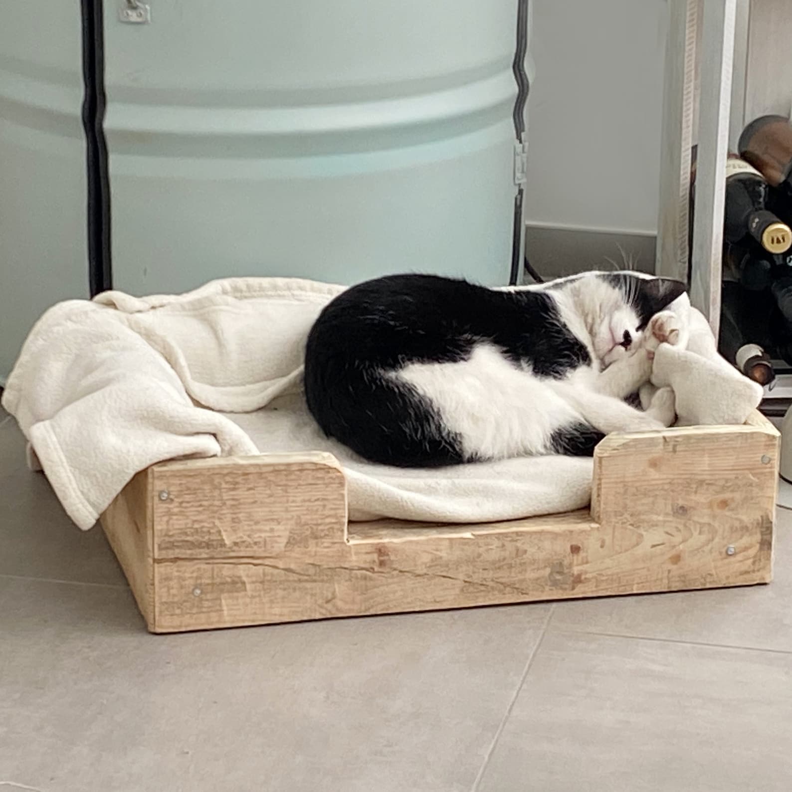 Sedile Cane Pelle Per Auto Cintura Kia Ceres Cestino Letto Cesto Divano - Foto 9