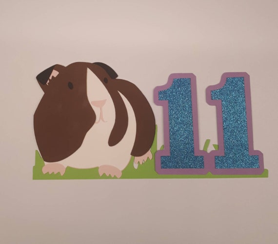 guinea pig birthday cake
