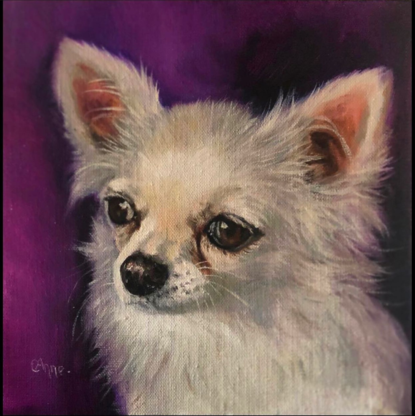 Lange Haare Chihuahua Hund Ölgemälde Etsy