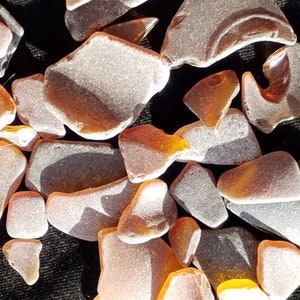 Assorted pieces of Brown seaglass  376g  sea  tumbled glass