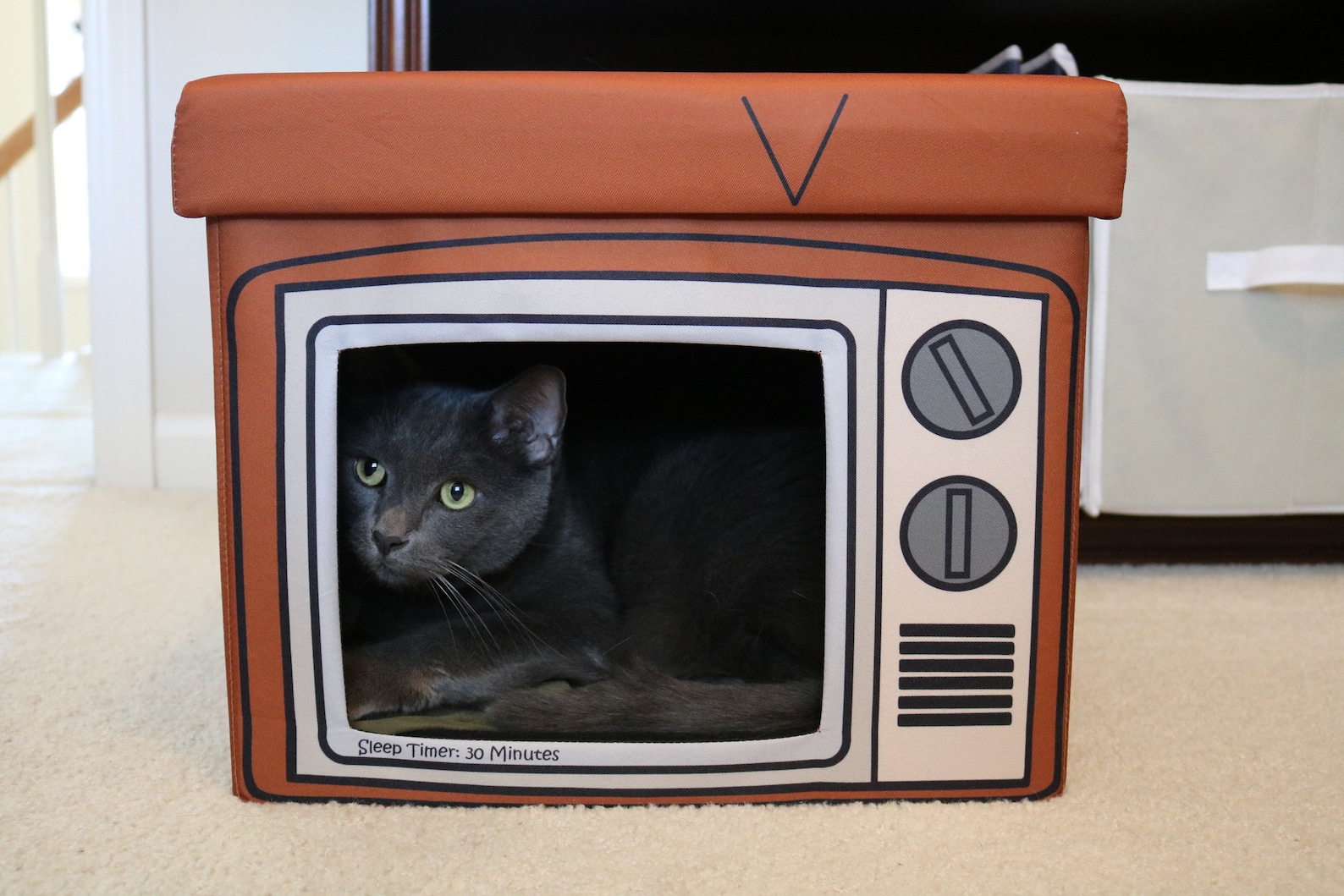 TV Cat Cube