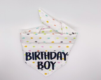 Birthday Boy Dog Bandana/Dog Bandana/Confetti/Dog Accessories/Reversible Bandana/Birthday/Blue/Colorful/Summer/Glitter/Party/Bday/Happy Bday